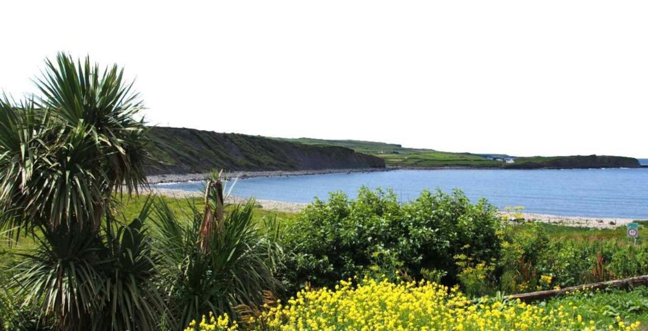 Wild Atlantic Lodge Bed & Breakfast Lahinch Exterior photo